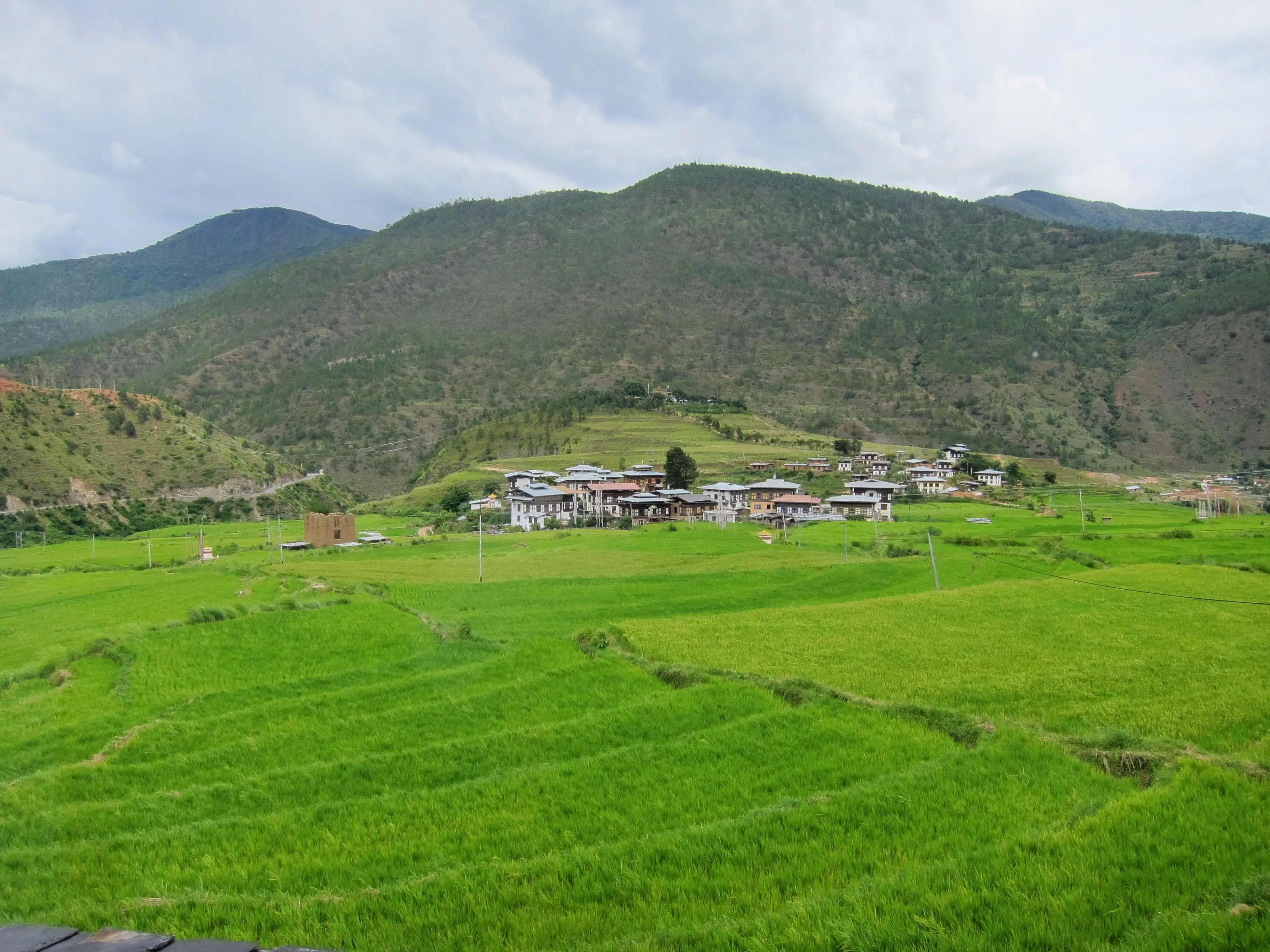 Bright green rice paddies below the village of Chimi Lhakhang in the Punakha valley, monsoon cloud on the ridges