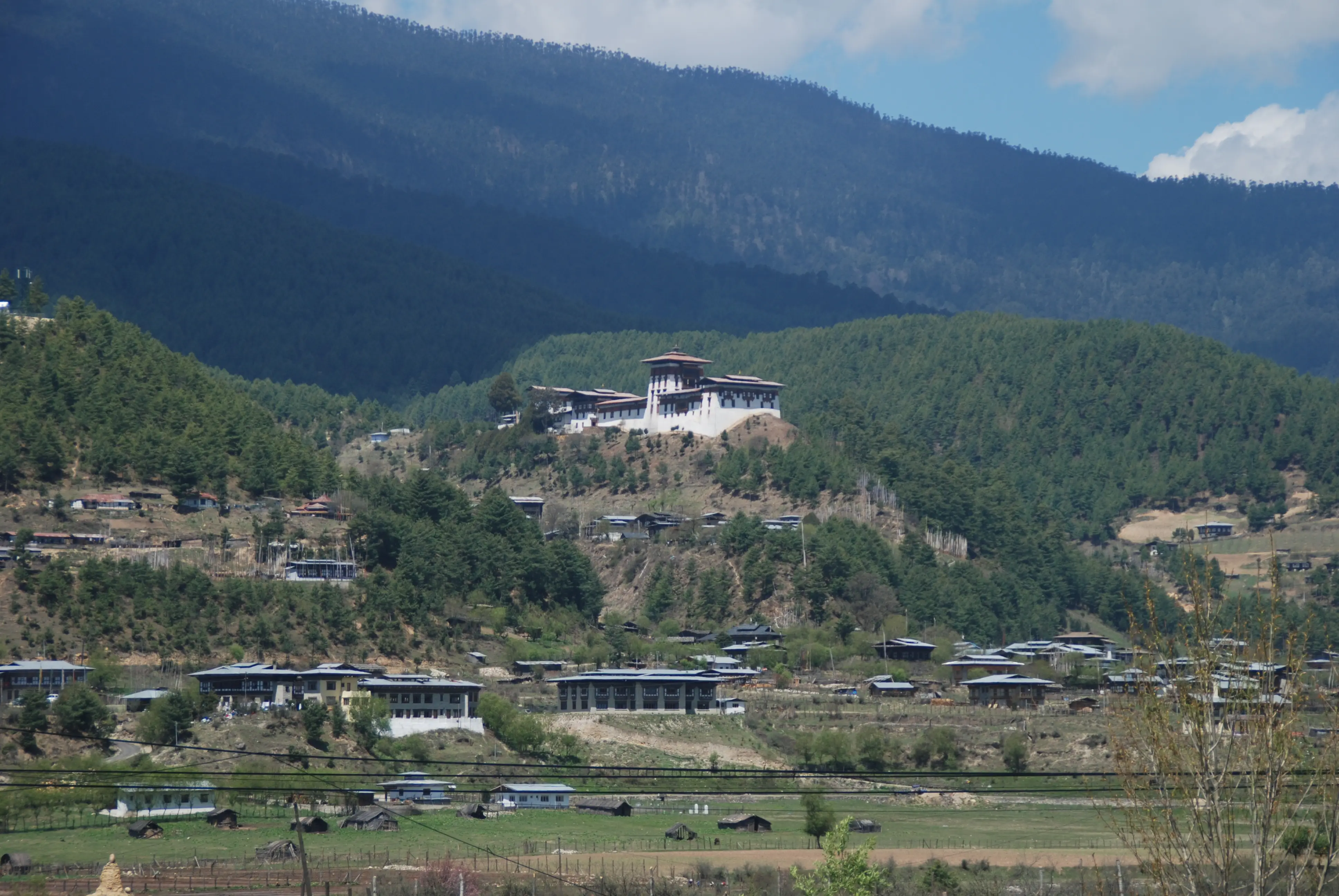 Jakar Dzong on its forested ridge above the Bumthang valley, the town and its fields spread out below