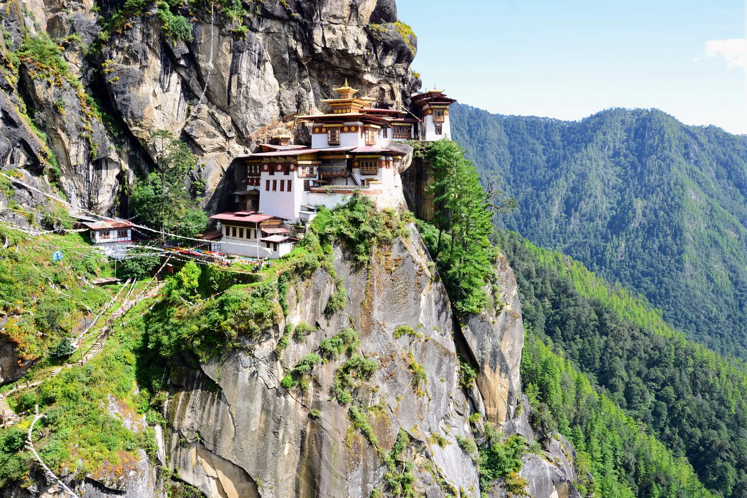 The green Paro valley in spring, farmhouses among the fields