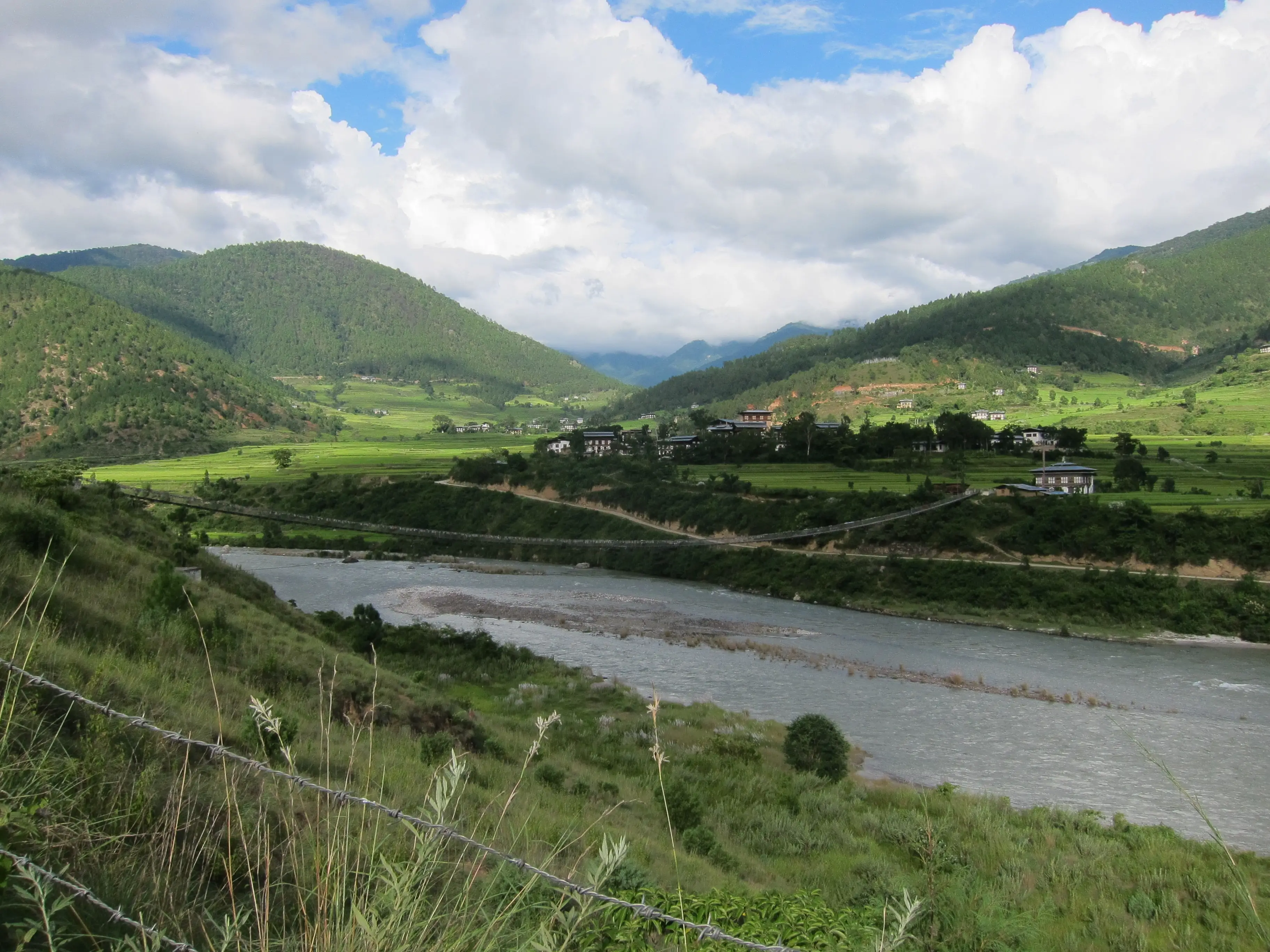 Green rice terraces along the river in the Punakha valley, with its long suspension bridge